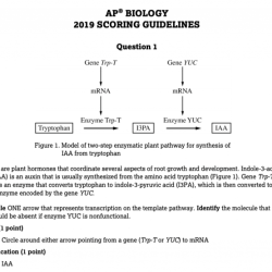 Ap bio unit 3 frq progress check