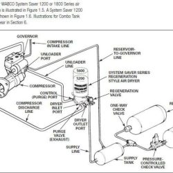 Air dryer purges every 30 seconds