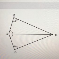 Quadratic solution equation two equations discriminant has only example solving real graphs quadratics different gr lesson roots 4ac bx characteristics